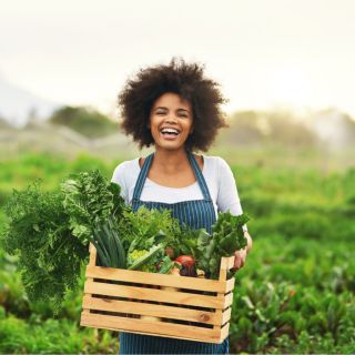 Susținerea Metabolismului și a Energiei